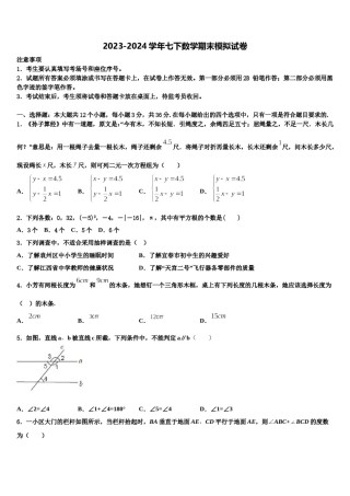 2023-2024学年甘肃省金昌市金川六中学七下数学期末统考模拟试题含解析.doc