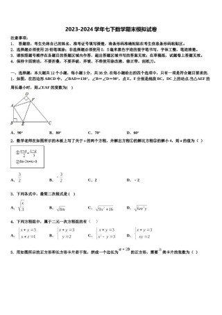 2023-2024学年福建厦门七下数学期末统考试题含解析.doc