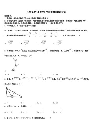 2023-2024学年福建省三明市宁化城东中学数学七下期末综合测试试题含解析.doc