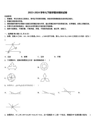 2023-2024学年福建省厦门市海沧区鳌冠学校七年级数学第二学期期末复习检测模拟试题含解析.doc