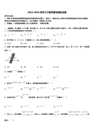 2023-2024学年福建省平潭综合实验区七校联考七下数学期末经典试题含解析.doc