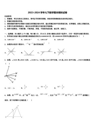 2023-2024学年福建省永春县七下数学期末监测试题含解析.doc