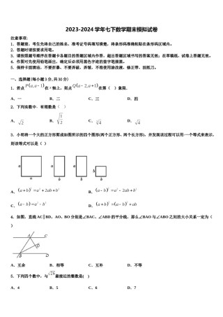 2023-2024学年福建省泉州市泉州实验中学数学七下期末检测模拟试题含解析.doc