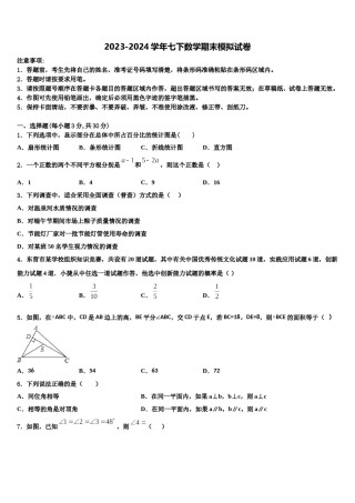 2023-2024学年福建省漳州市长泰一中学、华安一中学七下数学期末学业质量监测模拟试题含解析.doc