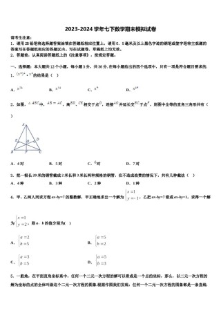 2023-2024学年福建省福安市湾坞中学七年级数学第二学期期末学业质量监测模拟试题含解析.doc