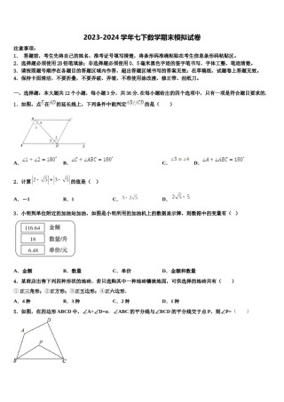 2023-2024学年福建省福州市延安中学七年级数学第二学期期末质量检测试题含解析.doc