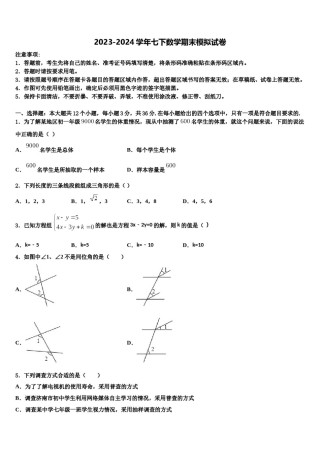 2023-2024学年福建省莆田市第七中学数学七下期末检测试题含解析.doc