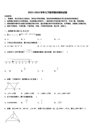 2023-2024学年福建省莆田砺志国际学校七下数学期末达标检测模拟试题含解析.doc