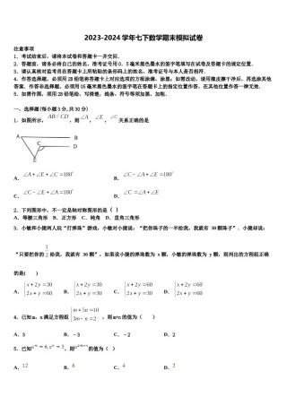 2023-2024学年福建省长泰一中学、华安一中学七年级数学第二学期期末学业水平测试试题含解析.doc