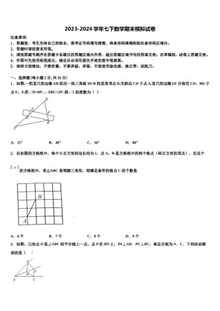 2023-2024学年芜湖市重点中学七下数学期末调研模拟试题含解析.doc