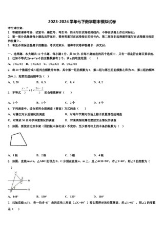 2023-2024学年西藏拉萨市名校七下数学期末学业水平测试试题含解析.doc