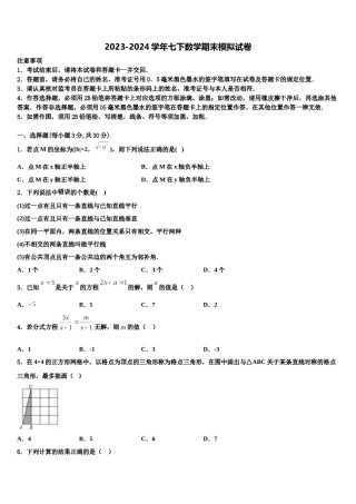 2023-2024学年那曲市重点中学七年级数学第二学期期末质量跟踪监视模拟试题含解析.doc