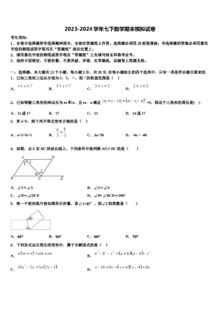 2023-2024学年郑州市外国语中学七年级数学第二学期期末学业质量监测试题含解析.doc