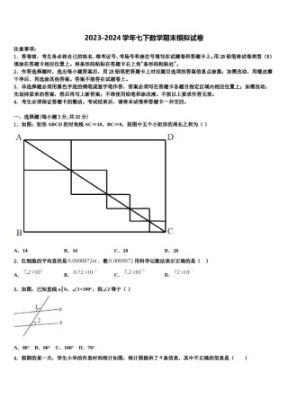 2023-2024学年陕西省汉中学市南郑区红庙镇初级中学数学七下期末达标检测模拟试题含解析.doc