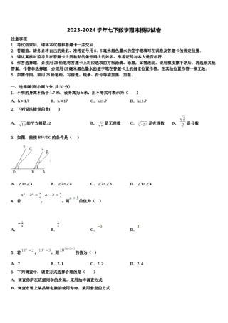 2024届上海华亭学校数学七下期末复习检测试题含解析.doc