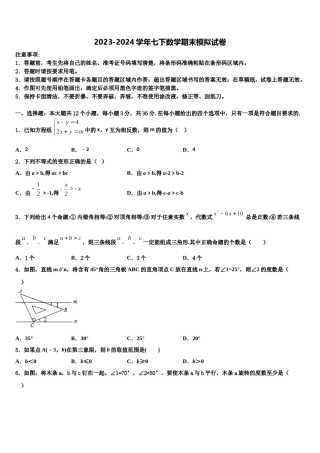 2024届上海市延安实验数学七下期末复习检测模拟试题含解析.doc