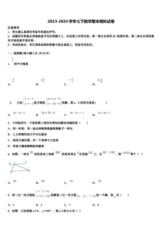 2024届上海市民办新竹园中学数学七下期末学业水平测试模拟试题含解析.doc