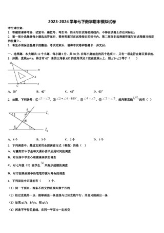 2024届上海市浦东新区建平香梅中学七年级数学第二学期期末监测试题含解析.doc
