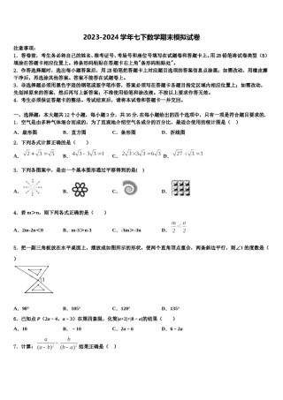 2024届上海市玉华中学七下数学期末考试模拟试题含解析.doc