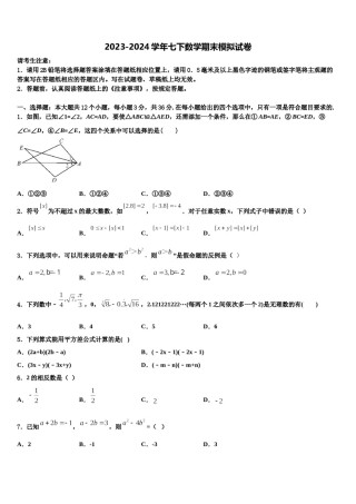 2024届下期湖南岳阳市城区七年级数学第二学期期末达标检测模拟试题含解析.doc