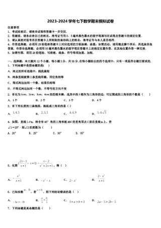 2024届内蒙古正镶白旗察汗淖中学七年级数学第二学期期末检测模拟试题含解析.doc