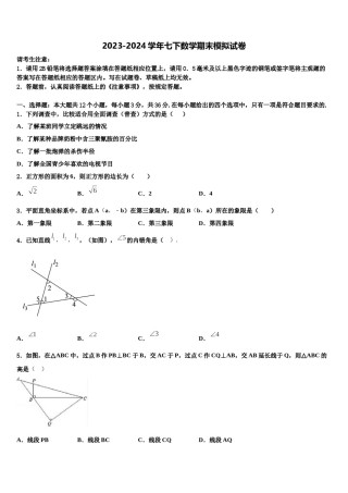 2024届北京丰台七下数学期末调研试题含解析.doc