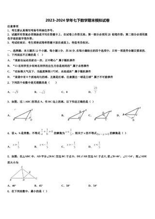 2024届北京八十中学七下数学期末综合测试模拟试题含解析.doc