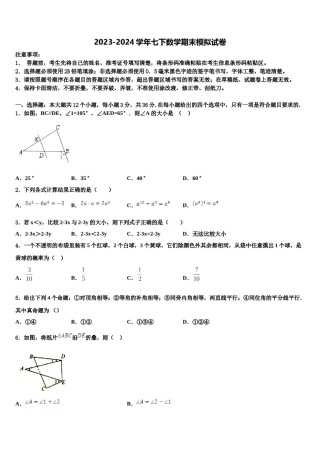 2024届北京市平谷区数学七下期末检测模拟试题含解析.doc