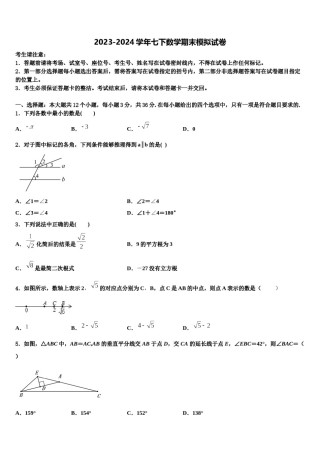 2024届哈尔滨松北区七校联考数学七下期末复习检测模拟试题含解析.doc