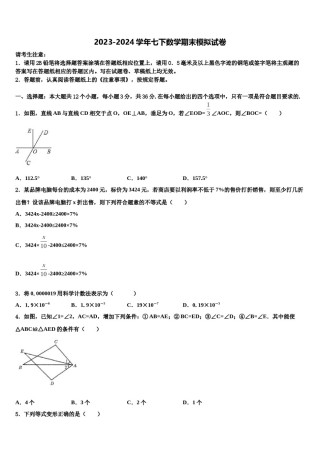 2024届四川省乐山市名校七下数学期末质量跟踪监视试题含解析.doc