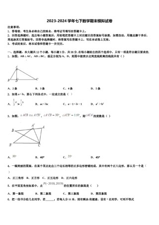2024届四川省巴中学七年级数学第二学期期末质量跟踪监视试题含解析.doc