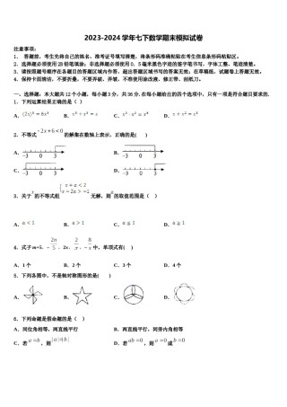 2024届四川省巴中学市巴州区七年级数学第二学期期末学业水平测试模拟试题含解析.doc