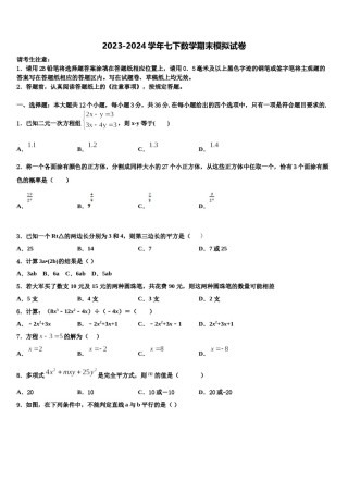 2024届四川省成都市天府七中学七下数学期末质量跟踪监视试题含解析.doc