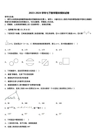 2024届四川省绵阳市江油实验学校数学七下期末复习检测模拟试题含解析.doc