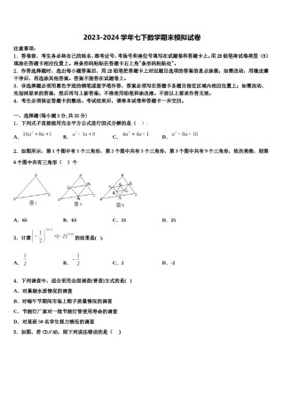 2024届四川省阳东辰国际学校七年级数学第二学期期末调研试题含解析.doc