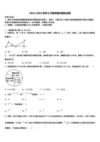 2024届大兴安岭市重点中学数学七下期末检测试题含解析.doc