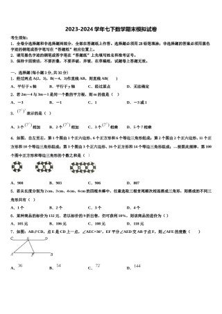 2024届天津市滨海新区名校七年级数学第二学期期末检测试题含解析.doc