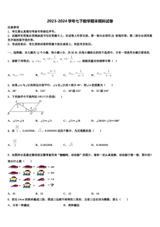 2024届天津市滨海新区名校数学七下期末考试试题含解析.doc