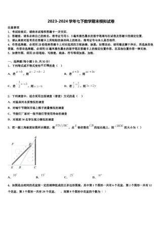 2024届天津市滨海新区大港第十中学七下数学期末调研试题含解析.doc