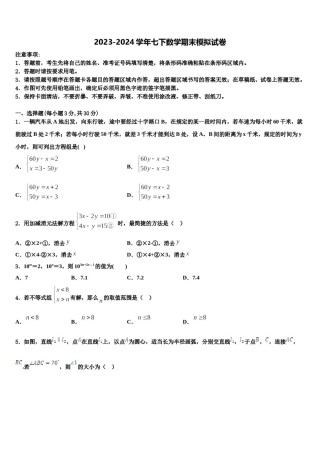 2024届安徽省合肥市名校七下数学期末达标检测模拟试题含解析.doc