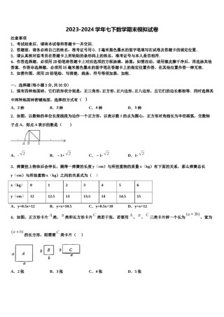 2024届安徽省宿州市第九中学七下数学期末考试模拟试题含解析.doc