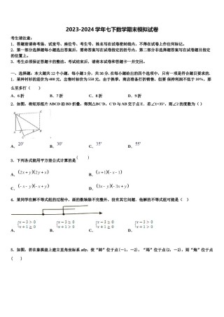 2024届山东省临沂市12中学数学七下期末监测模拟试题含解析.doc