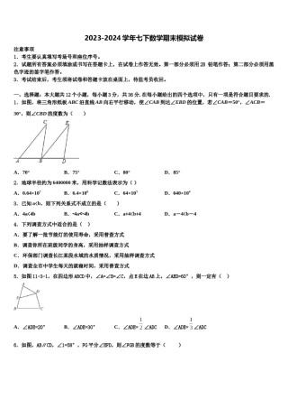2024届山东省临沂市青云镇中学心中学七下数学期末质量跟踪监视试题含解析.doc