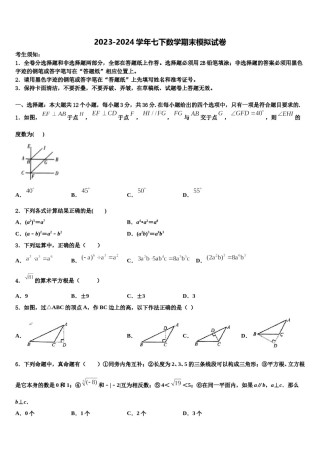 2024届山东省威海市文登区实验中学七下数学期末学业水平测试试题含解析.doc