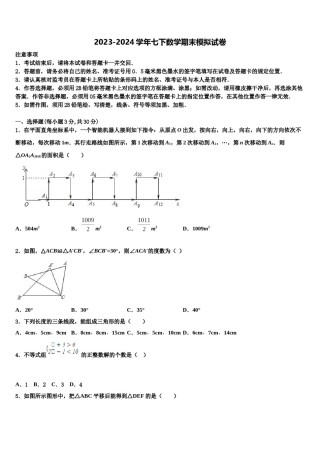 2024届山东省枣庄市峄城区第二十八中学数学七下期末学业水平测试模拟试题含解析.doc