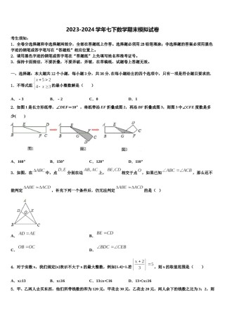 2024届山东省枣庄市第七中学七下数学期末质量检测模拟试题含解析.doc