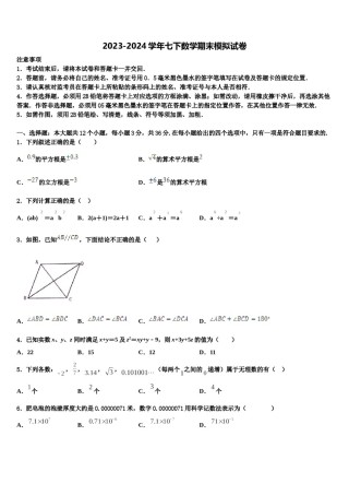 2024届山东省枣庄市第七中学七下数学期末达标检测模拟试题含解析.doc