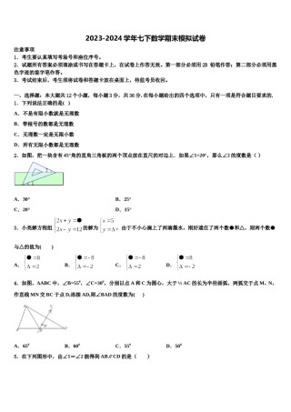 2024届山东省枣庄市薛城区临城数学七下期末达标检测试题含解析.doc