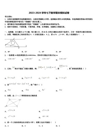 2024届山东省泰安市泰山外国语学校数学七下期末综合测试模拟试题含解析.doc