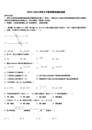 2024届山东省淄博市临淄区召口乡中学数学七下期末学业质量监测模拟试题含解析.doc